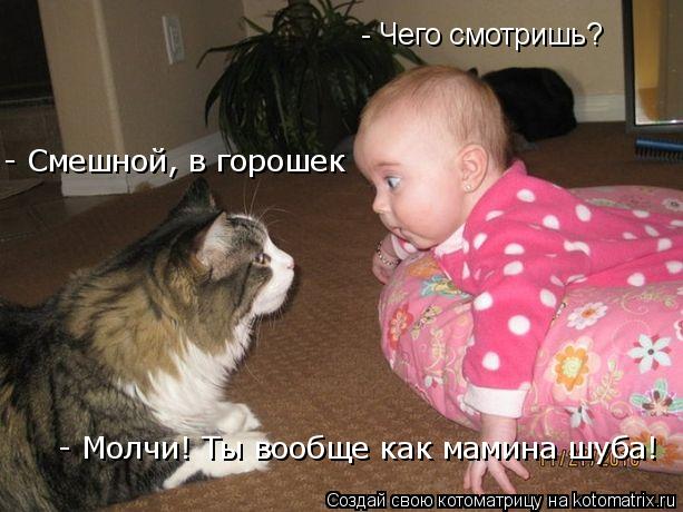 Котоматрица: - Молчи! Ты вообще как мамина шуба! - Чего смотришь? - Смешной, в горошек