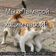 Котоматрица: Мы с Тамарой ходим парой!
