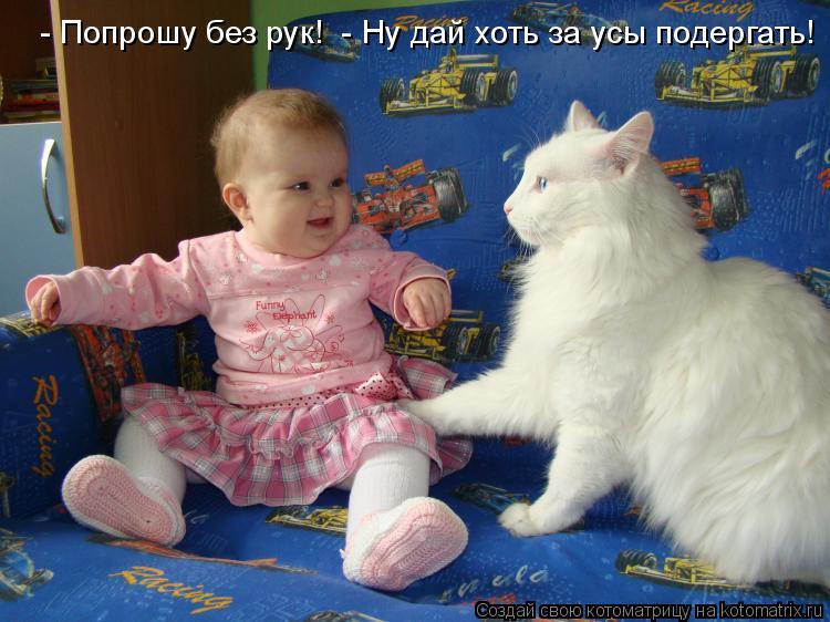 Котоматрица: - Попрошу без рук!  - Ну дай хоть за усы подергать!