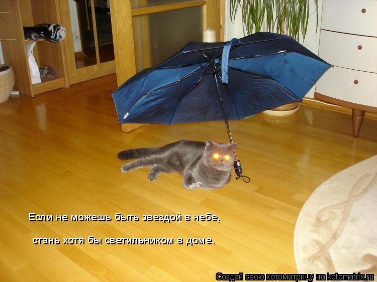 Котоматрица: Если не можешь быть звездой в небе, стань хотя бы светильником в доме.