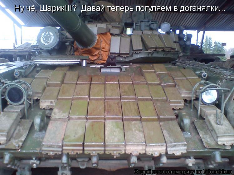 Котоматрица: Ну чё, Шарик!!!?  Давай теперь погуляем в доганялки...