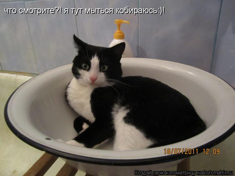 Котоматрица: что смотрите?! я тут мыться кобираюсь:)!