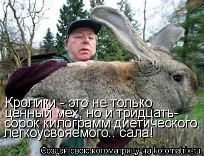 Котоматрица: Кролики - это не только  ценный мех, но и тридцать- сорок килограмм диетического, легкоусвояемого.. сала!