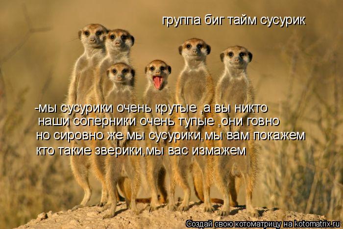 Котоматрица: группа биг тайм сусурик -мы сусурики очень крутые ,а вы никто наши соперники очень тупые ,они говно но сировно же мы сусурики,мы вам покажем  