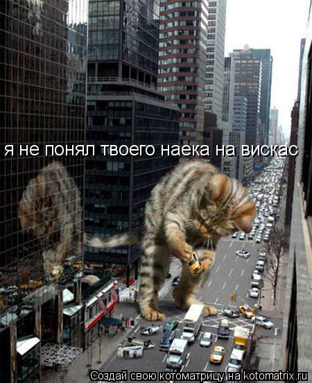 Котоматрица: я не понял твоего наека на вискас