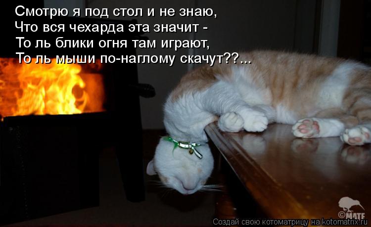 Смотрю я под стол и не знаю, Что вся чехарда эта значит - То ль блики огня там играют, То ль мыши по... Котоматрица: Смотрю я под стол и не знаю, Что вся чехарда эта значит - То ль блики огня там играют, То ль мыши по-наглому скачут??...