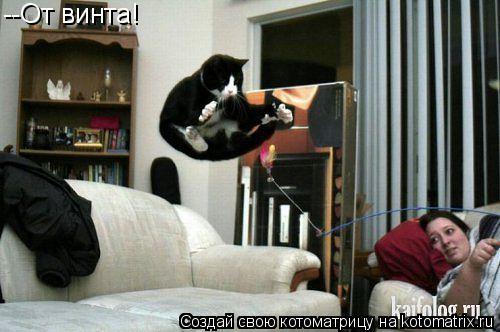 --От винта!... Котоматрица: --От винта!