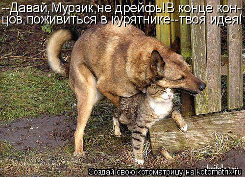 Котоматрица: --Давай,Мурзик,не дрейфь!В конце кон- цов,поживиться в курятнике--твоя идея!