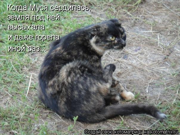 Котоматрица: Когда Муся сердилась, земля под ней высыхала и даже горела иной раз...