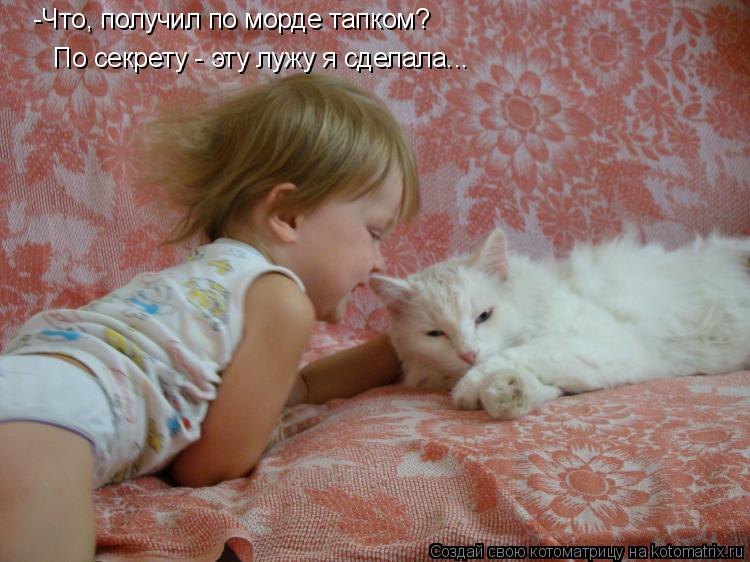 Котоматрица: -Что, получил по морде тапком? По секрету - эту лужу я сделала... По секрету - эту лужу я сделала... -Что, получил по морде тапком?