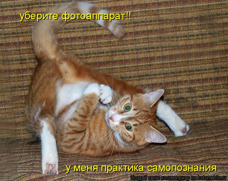 Котоматрица: у меня практика самопознания уберите фотоаппарат!!