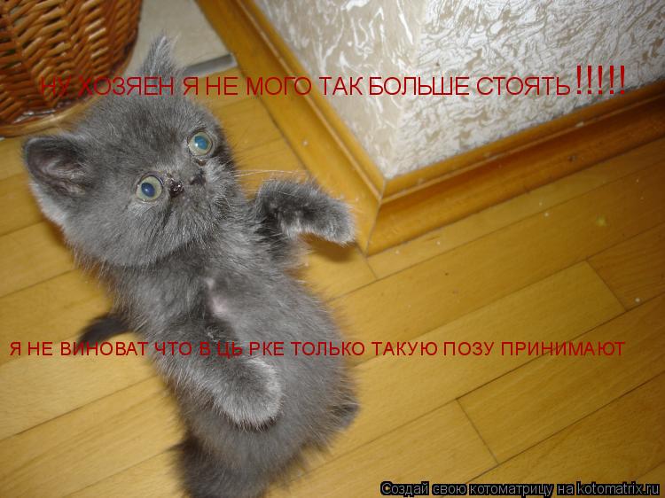 Котоматрица: НУ ХОЗЯЕН Я НЕ МОГО ТАК БОЛЬШЕ СТОЯТЬ Я НЕ ВИНОВАТ ЧТО В ЦЬІРКЕ ТОЛЬКО ТАКУЮ ПОЗУ ПРИНИМАЮТ !!!!!