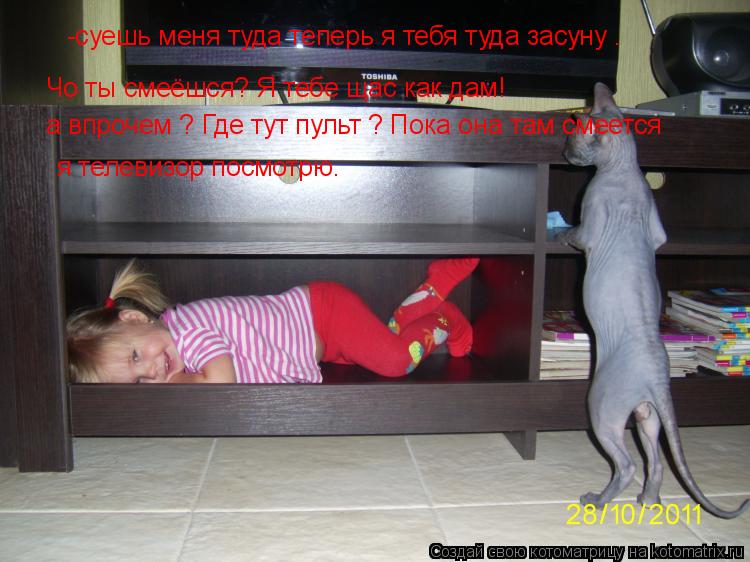 Котоматрица: я телевизор посмотрю. а впрочем ? Где тут пульт ? Пока она там смеется  Чо ты смеёшся? Я тебе щас как дам!  -суешь меня туда теперь я тебя туда за