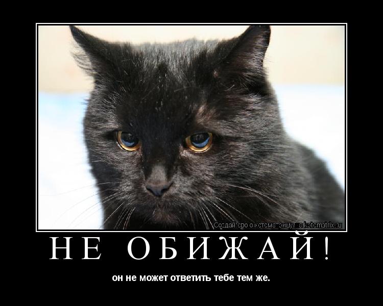 Котоматрица: не обижай! он не может ответить тебе тем же.