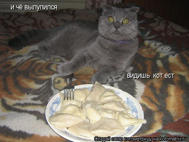 Котоматрица: и чё вылупился  видишь  кот ест