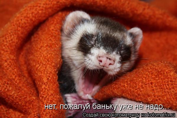 Котоматрица: нет, пожалуй баньку уже не надо...