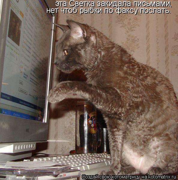 Котоматрица: эта Светка закидала письмами, нет чтоб рыбки по факсу послать.