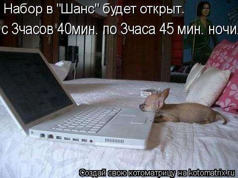 Котоматрица: Набор в "Шанс" будет открыт  с 3часов 40мин. по 3часа 45 мин. ночи.