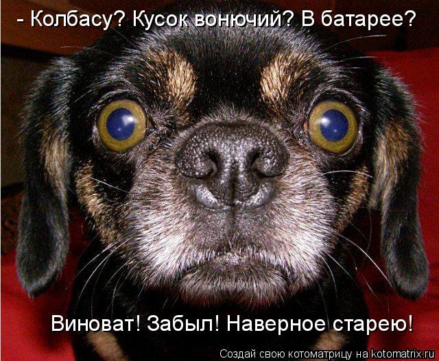 Котоматрица: - Колбасу? Кусок вонючий? В батарее? Виноват! Забыл! Наверное старею!
