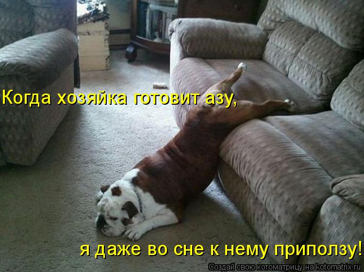 http://kotomatrix.ru/images/lolz/2011/12/13/1060853.jpg