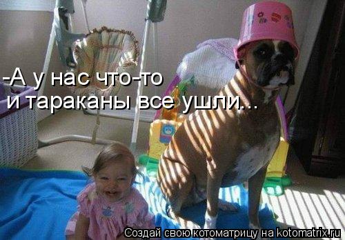 Котоматрица: и тараканы все ушли... -А у нас что-то