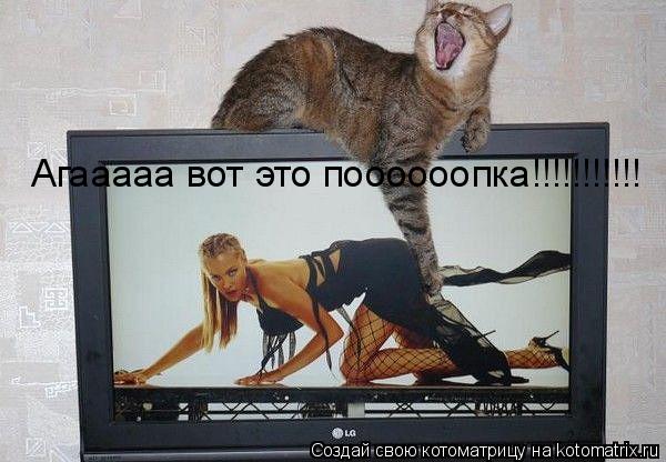 Котоматрица: Агааааа вот это поооооопка!!!!!!!!!!!