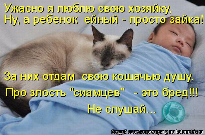 Котоматрица: За них отдам  свою кошачью душу. Про злость "сиамцев"   - это бред!!! Не слушай... Ужасно я люблю свою хозяйку,  Ну, а ребенок  ейный - просто зайка!