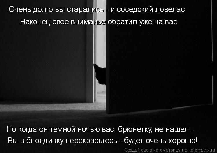 Котоматрица: Вы в блондинку перекрасьтесь - будет очень хорошо! Но когда он темной ночью вас, брюнетку, не нашел -  Очень долго вы старались - и соседский л