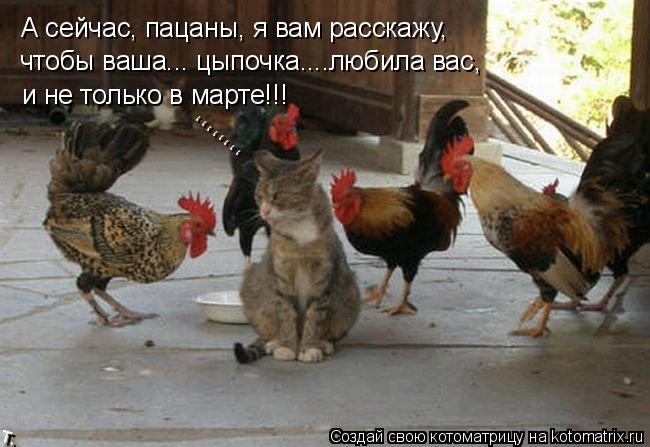 Котоматрица: А сейчас, пацаны, я вам расскажу,  и не только в марте!!! ,,,,,,,, чтобы ваша... цыпочка....любила вас,