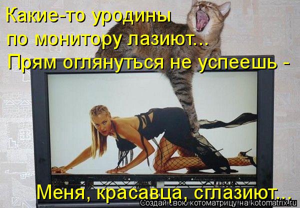 Котоматрица: Какие-то уродины  по монитору лазиют... Меня, красавца, сглазиют... Прям оглянуться не успеешь -