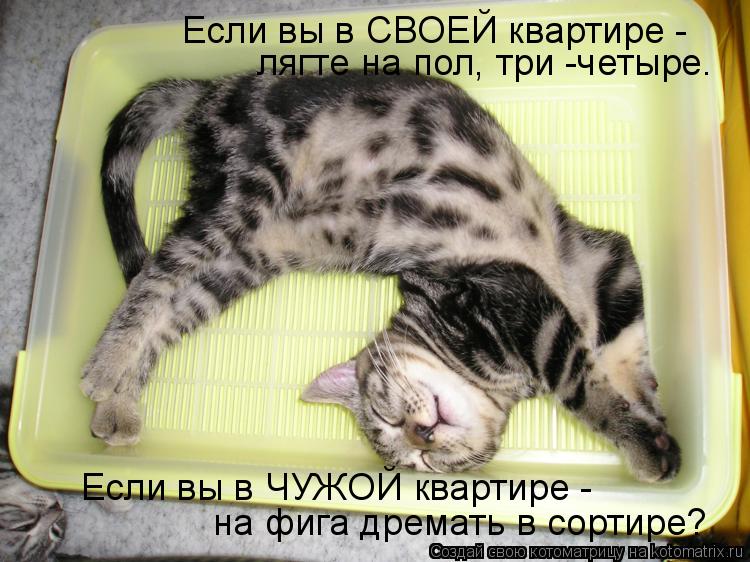Если вы в СВОЕЙ квартире - лягте на пол, три -четыре. Если вы в ЧУЖОЙ квартире - на фига дремать в ... Котоматрица: Если вы в СВОЕЙ квартире - лягте на пол, три -четыре. Если вы в ЧУЖОЙ квартире - на фига дремать в сортире?