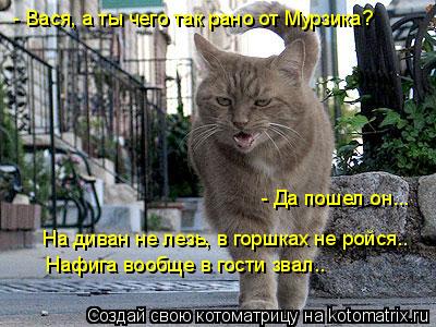 - Вася, а ты чего так рано от Мурзика? На диван не лезь, в горшках не ройся.. - Да пошел он... Нафи... Котоматрица: - Вася, а ты чего так рано от Мурзика? На диван не лезь, в горшках не ройся.. - Да пошел он... Нафига вообще в гости звал..