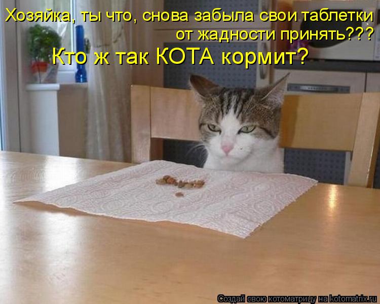 Хозяйка, ты что, снова забыла свои таблетки от жадности принять??? Кто ж так КОТА кормит?... Котоматрица: Хозяйка, ты что, снова забыла свои таблетки от жадности принять??? Кто ж так КОТА кормит?