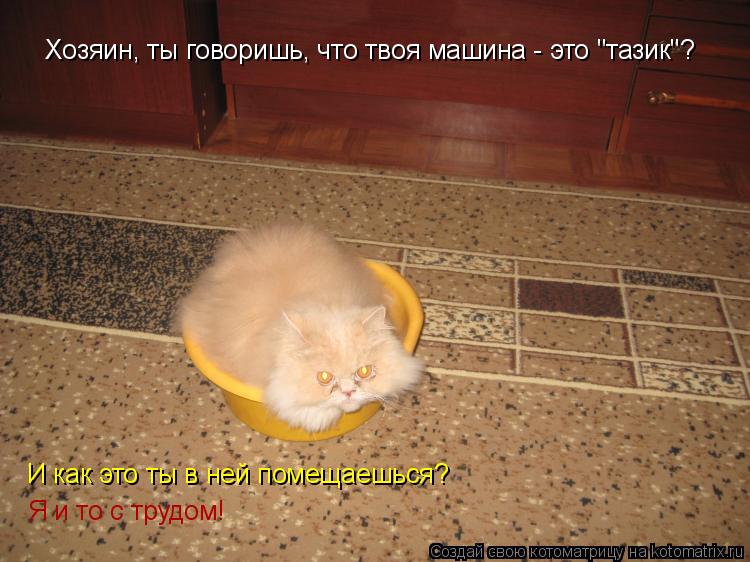 Котоматрица: Хозяин, ты говоришь, что твоя машина - это "тазик"? И как это ты в ней помещаешься? Я и то с трудом!