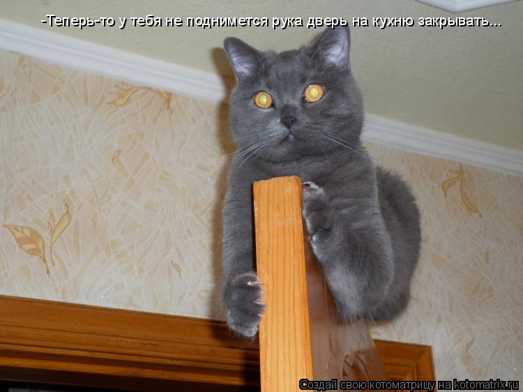 Котоматрица: -Теперь-то у тебя не поднимется рука дверь на кухню закрывать...