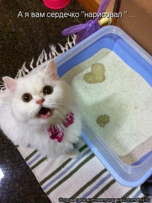 Котоматрица: А я вам сердечко "нарисовал " ...