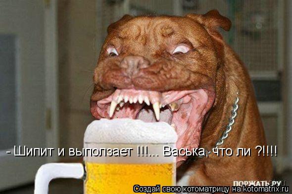 Котоматрица: - Шипит и выползает !!!... Васька, что ли ?!!!!