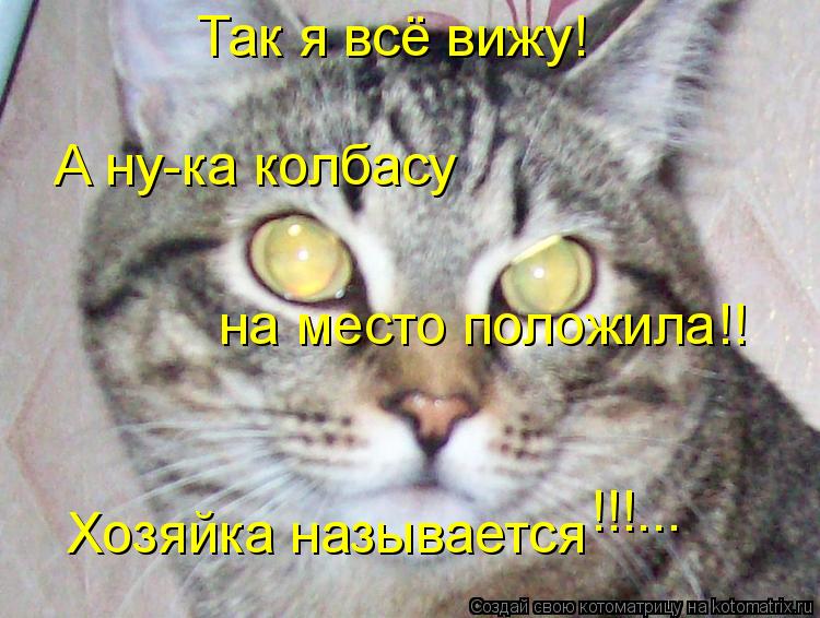 Котоматрица: Так я всё вижу! А ну-ка колбасу на место положила!! Хозяйка называется !!!...