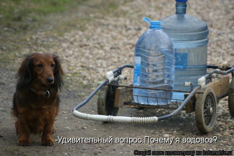 Водовоз прикольные картинки