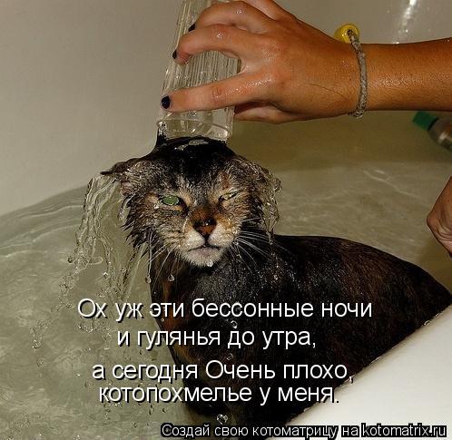 Ох уж эти бессонные ночи и гулянья до утра, а сегодня Очень плохо, котопохмелье у меня.... Котоматрица: Ох уж эти бессонные ночи и гулянья до утра, а сегодня Очень плохо, котопохмелье у меня.