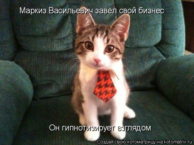 Маркиз Васильевич завёл свой бизнес Он гипнотизирует взглядом... Котоматрица: Маркиз Васильевич завёл свой бизнес Он гипнотизирует взглядом