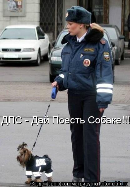 ДПС - Дай Поесть Собаке!!!... Котоматрица: ДПС - Дай Поесть Собаке!!!