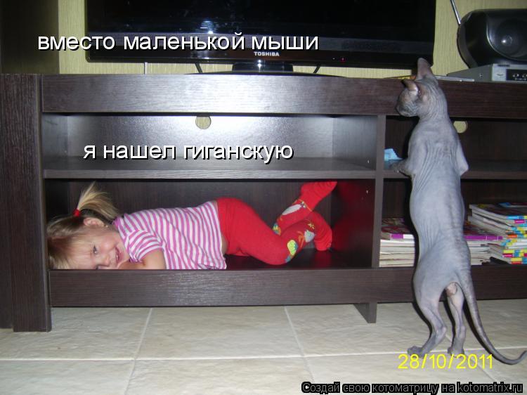 Котоматрица: вместо маленькой мыши   я нашел гиганскую