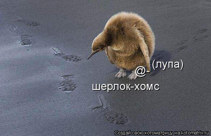 Котоматрица: шерлок-хомс @- (лупа)