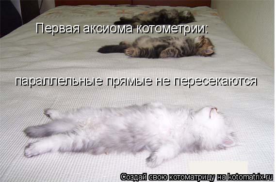 Котоматрица: Первая аксиома котометрии: параллельные прямые не пересекаются