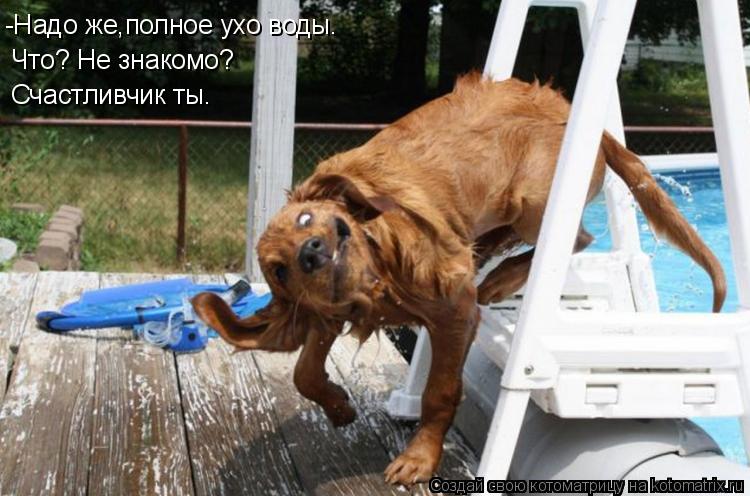 Котоматрица: -Надо же,полное ухо воды. Что? Не знакомо? Счастливчик ты.