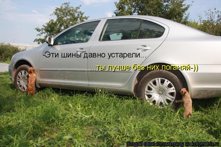 Котоматрица: -Эти шины давно устарели... ...ты лучше без них поганяй-))