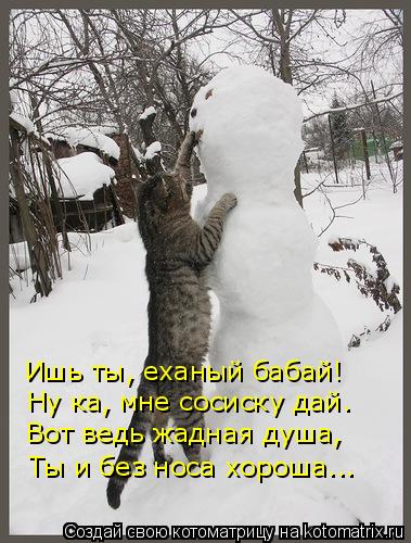 Котоматрица: Ишь ты, еханый бабай! Ну ка, мне сосиску дай. Вот ведь жадная душа, Ты и без носа хороша...