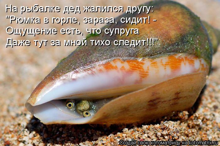 На рыбалке дед жалился другу: "Рюмка в горле, зараза, сидит! - Ощущение есть, что супруга Даже тут за... Котоматрица: На рыбалке дед жалился другу: "Рюмка в горле, зараза, сидит! - Ощущение есть, что супруга Даже тут за мной тихо следит!!!"