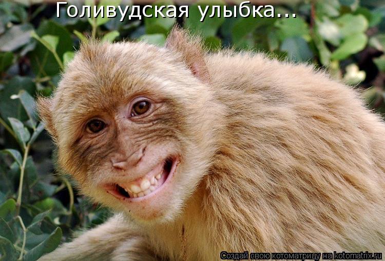 Котоматрица: Голивудская улыбка...